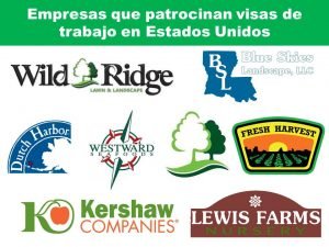 ≫ Empresas Que Patrocinan Visas De Trabajo En Estados Unidos 2024 — 2024