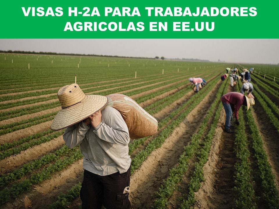 visa H-2A para trabajadores agrícolas